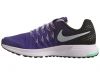 Nike Zoom Pegasus 33 Big Kids Style : 834317-500