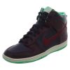Nike Dunk Hi Skinny Print Womens Style : 543242
